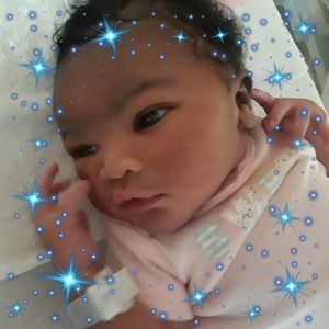 Meet your Posher, Viola puddin